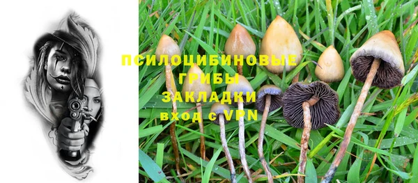 ГАЛЛЮЦИНОГЕННЫЕ ГРИБЫ Беломорск